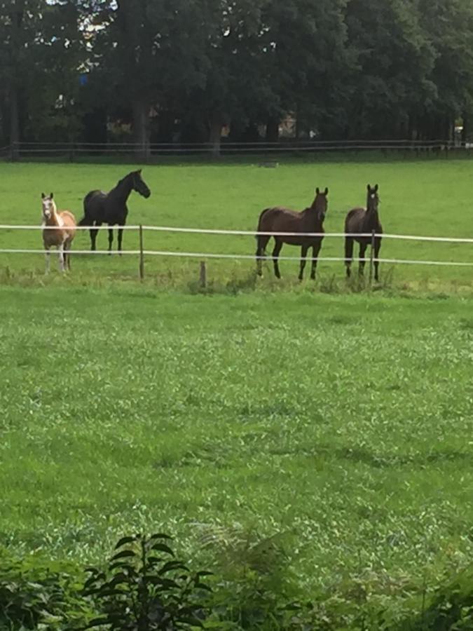 Ferienwohnung Nahe Bentheimer Wald Schuettorf Esterno foto